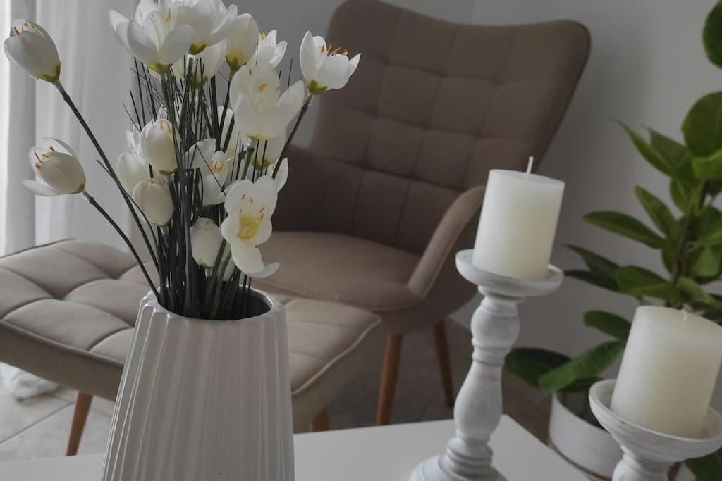 Appartement διαμέρισμα ιδανικό για εξορμήσεις Eleousa